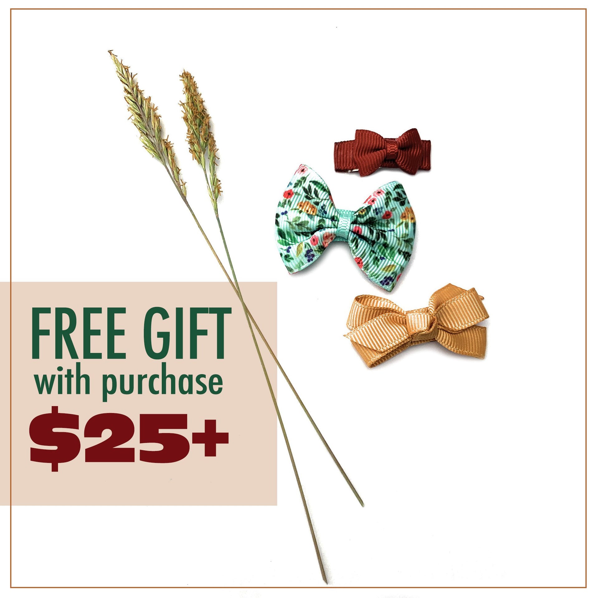 Spend Only $25 - Get FREE* Summer Bows!
