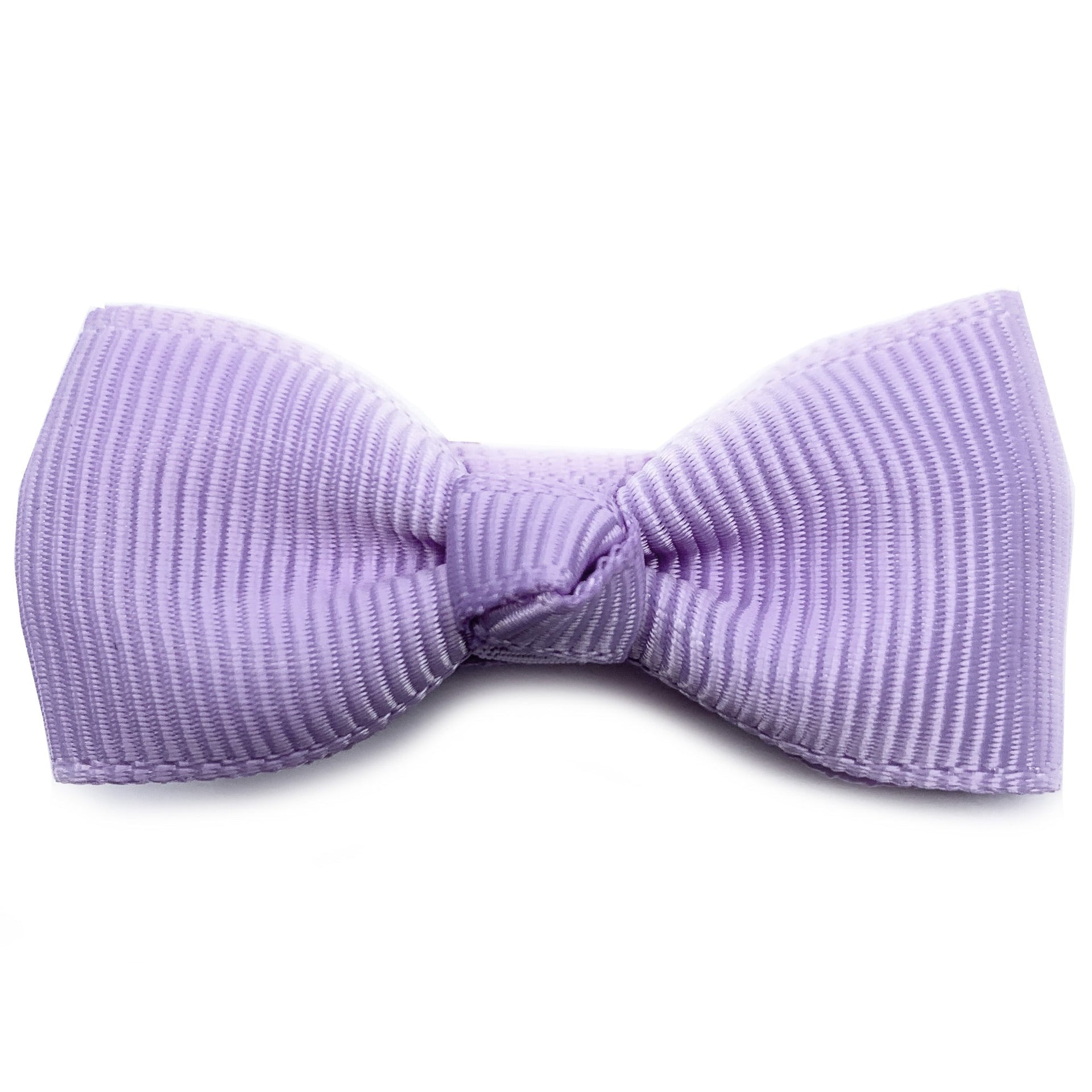 Diya Bow Alligator Hair Clips - Lavender Baby Wisp