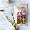 Small Snap Clips Chelsea Boutique Bow Collection - Pink Papaya Baby Wisp
