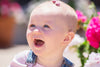 Grosgrain Tuxedo Bow Snap Clip - Single Hair Bow - Rose Quartz Blush Baby Wisp