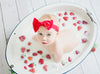 Infant Headwrap - Mini Trim Pom Pom Bow - Black Baby Wisp
