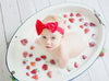 Infant Headwrap - Mini Trim Pom Pom Bow - Dusty Pink Baby Wisp