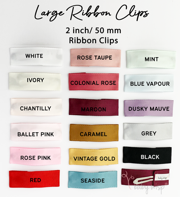 Large Ribbon Clips - 5cm Snap Clips Baby Wisp