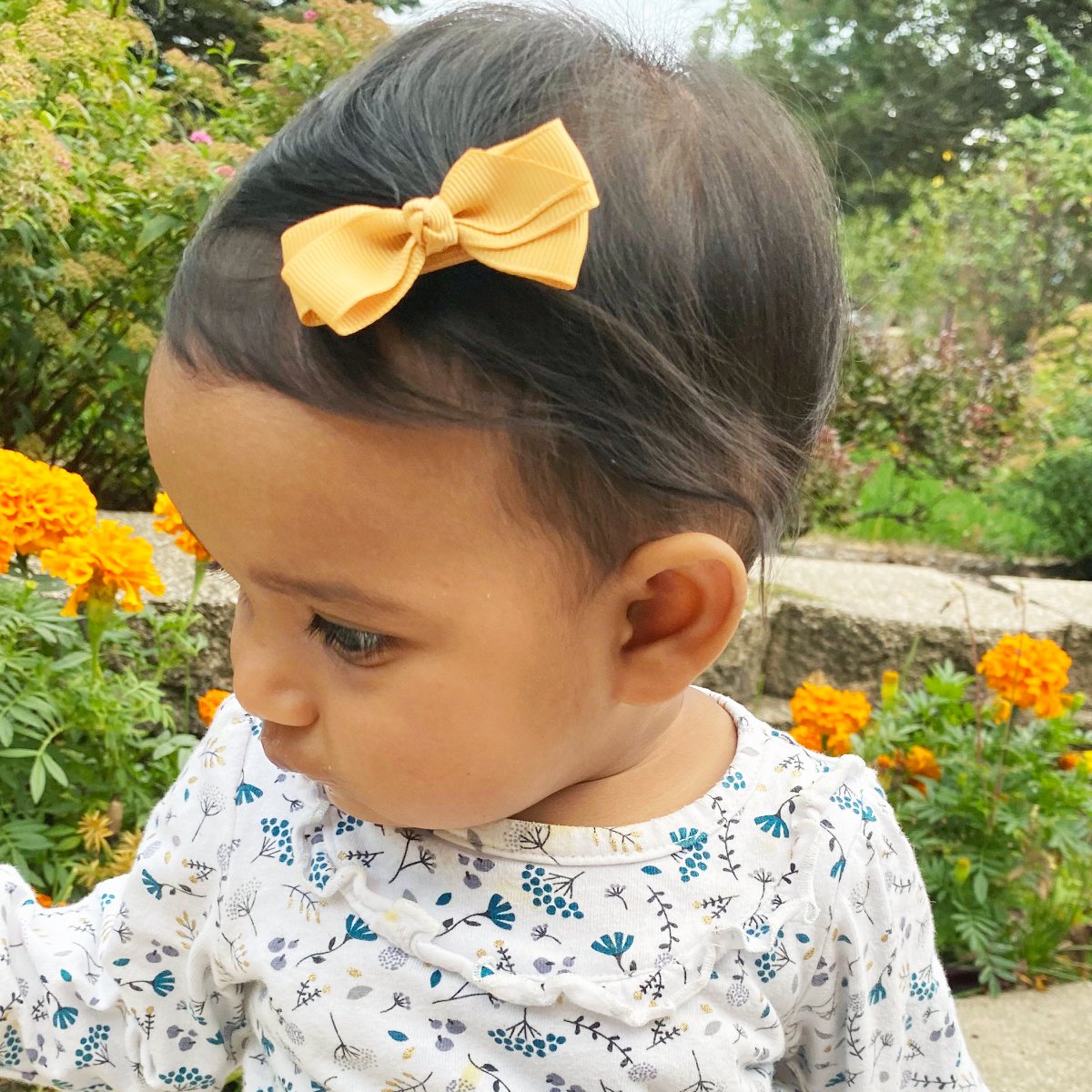 Aiyanna Toddler Bow - Alligator Hair Clip - Moss Baby Wisp