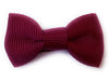 Small Snap Charlotte Bow - Single Hair Bow Baby Wisp