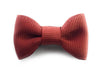 Small Snap Charlotte Bow - Single Hair Bow Baby Wisp